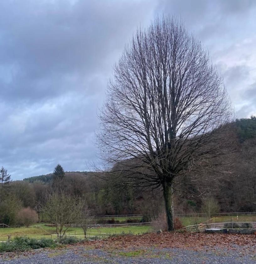 Le Ranch Des Aguesses Villa Andenne Dış mekan fotoğraf