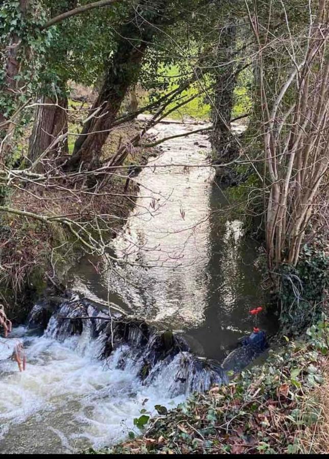 Le Ranch Des Aguesses Villa Andenne Dış mekan fotoğraf