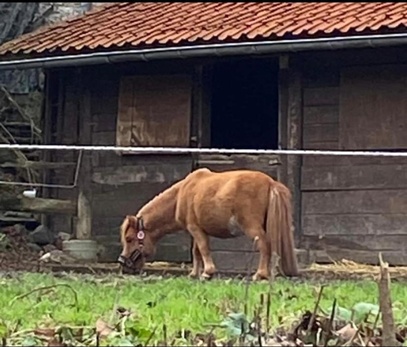 Le Ranch Des Aguesses Villa Andenne Dış mekan fotoğraf
