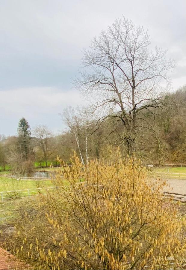 Le Ranch Des Aguesses Villa Andenne Dış mekan fotoğraf