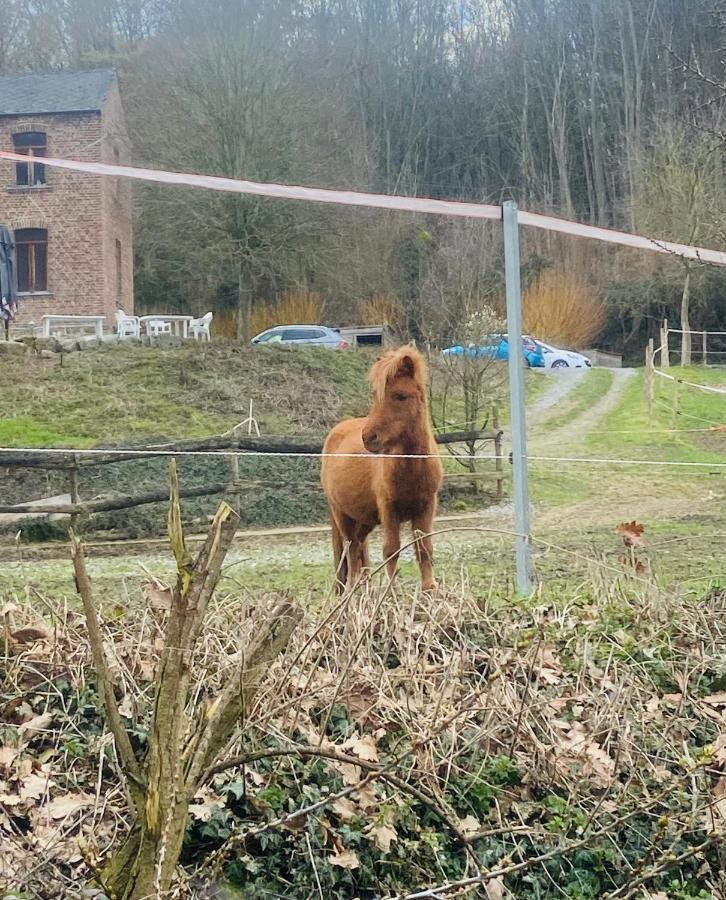 Le Ranch Des Aguesses Villa Andenne Dış mekan fotoğraf